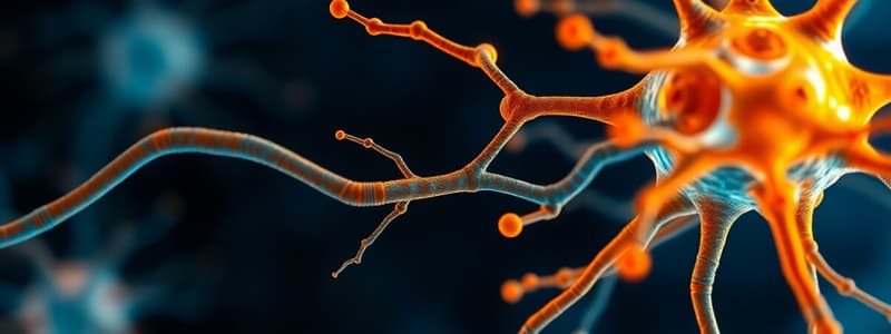 Neuroscienze: Trasmissione Sinaptica