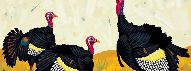 Wild Turkey Subspecies in Texas