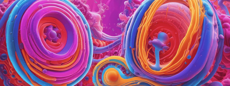 Plasma Membrane Structure and Function Quiz