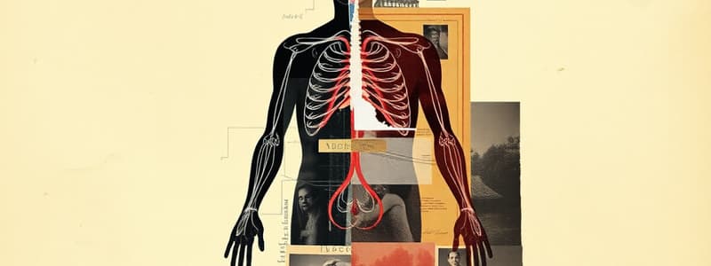 Autonomic Nervous System Quiz