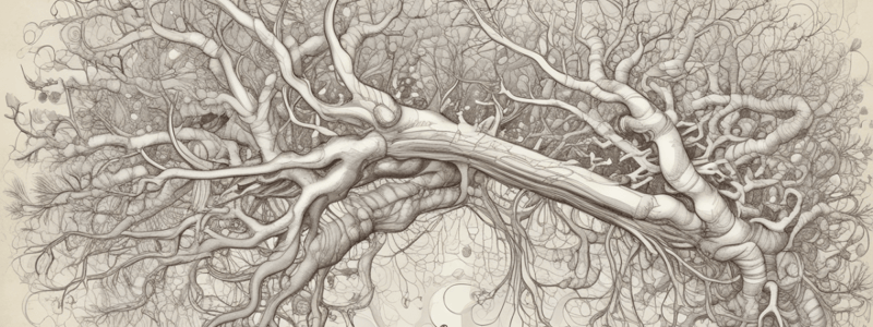 Overview of the Nervous System