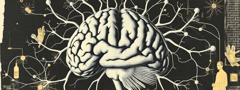 Functions and Structure of the Nervous System