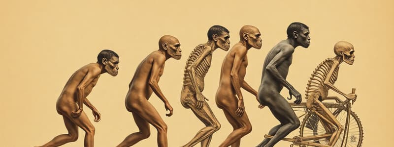 Early Hominins and Human Evolution