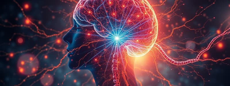 Neurociencia: Funciones del Sistema Nervioso