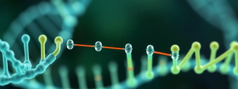 DNA Synthesis Basics