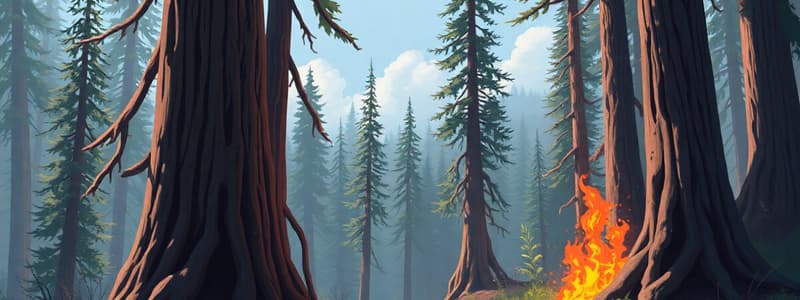 Giant Redwoods and Wildfire Recovery Quiz