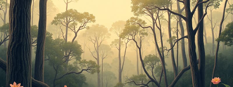 Forest Formation in the Philippines