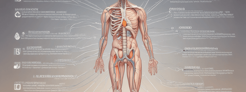 Seddon's Classification Scheme for Peripheral Nerve Injury