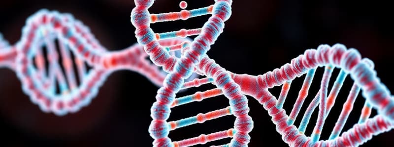 Gene Mutation and DNA Repair Quiz