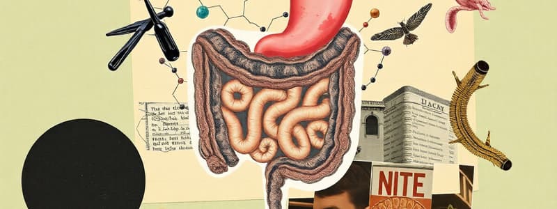 Digestive System and Diet