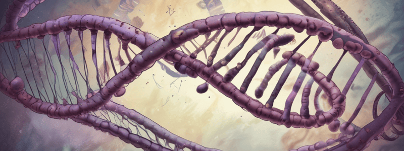 Genetics and Chromosomal Abnormalities Quiz