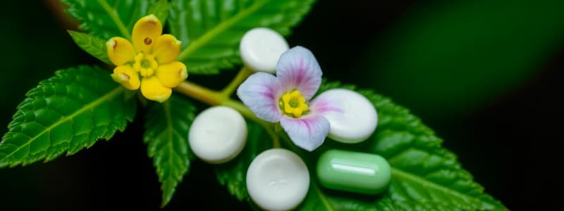 Plant-Based Drugs Quiz