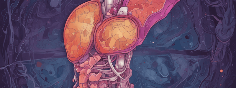 Pancreas Imaging and Laboratory Values