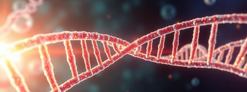 Biology Chapter on DNA and Chromosomes