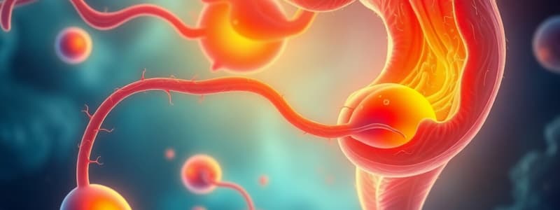 Gamétogenèse et Spermatogenèse