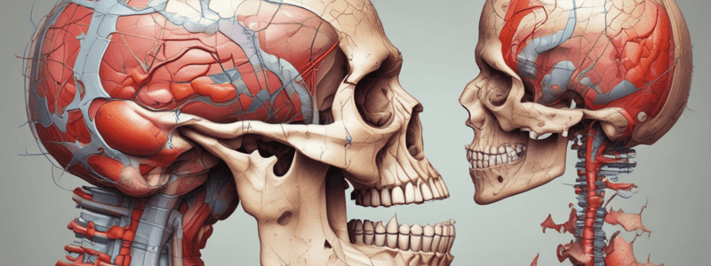 Medical Terminologies and Health Assessment Quiz