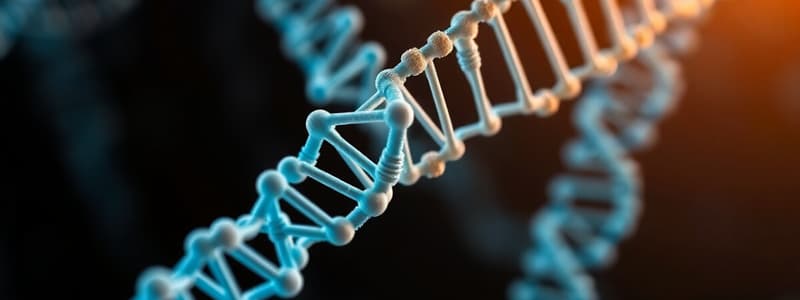 DNA, RNA, and Proteins Overview