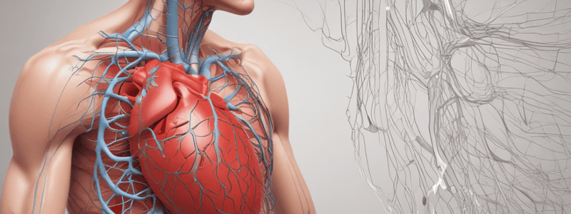 Lecture 1.2b - Fundamentals of blood pressure - Hemodynamics