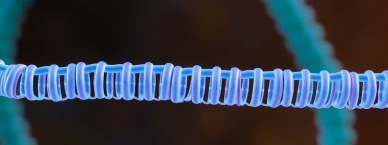 2# Pre-mRNA Splicing and Processing