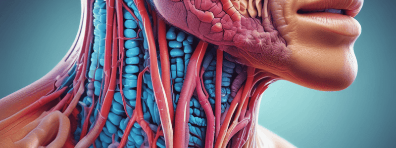 Respiratory System Parts and Functions Quiz