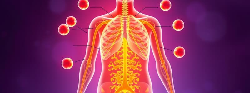 Endocrine System Overview