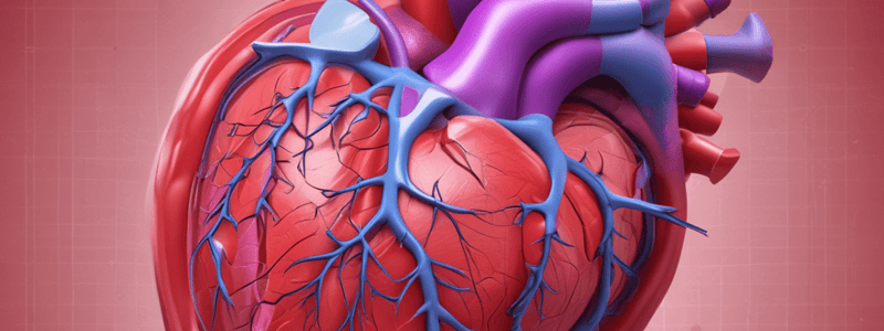 Ventricular Septal Defect (VSD)