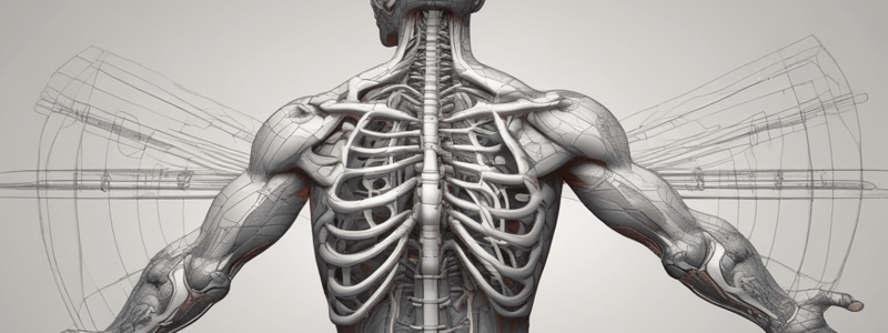 Anatomy: Auditory System and Skull