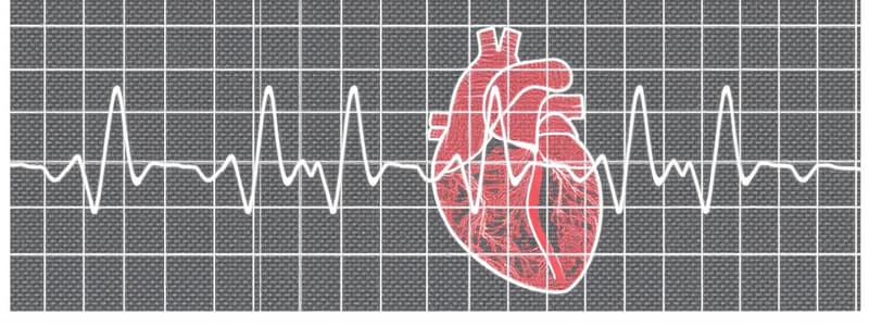 Electrocardiograph Standard Limb Leads