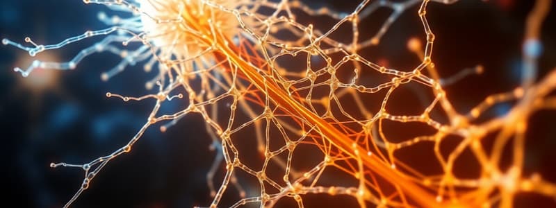 Cytoskeleton Components and Functions