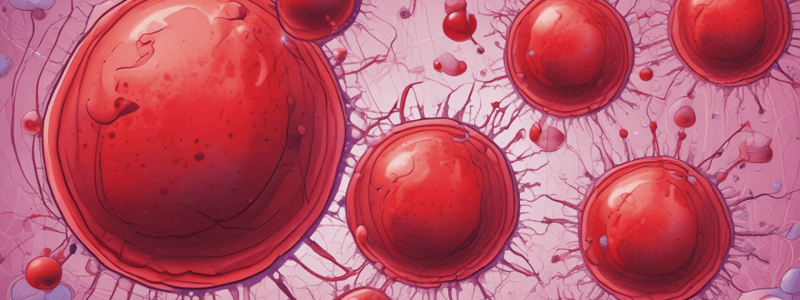 Hematología: Características de Eritroblastos