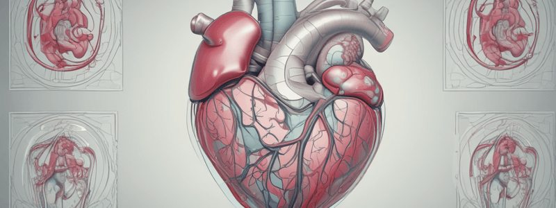 CT Applications in Cardiac Imaging