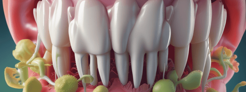 Dental Caries and Oral Bacteria Quiz