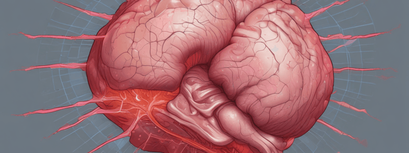 Physical Examination Techniques for Lesions