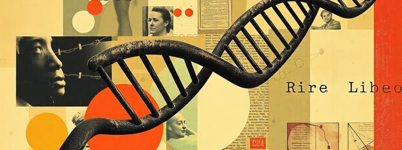 Nucleic Acids and DNA Structure