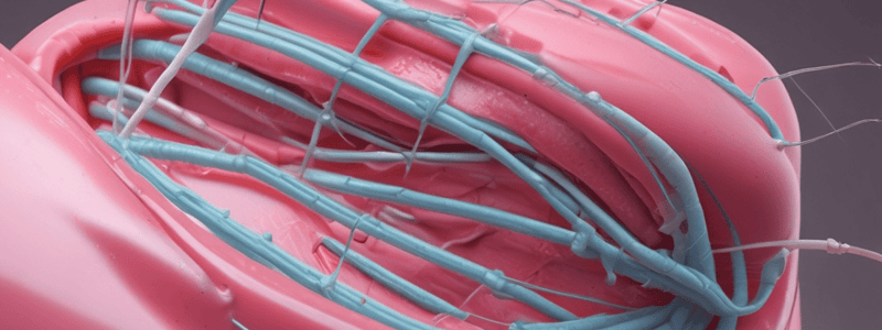 Surgical Sutures Materials Quiz