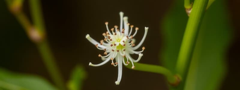 Botany Chapter on Plant Reproduction