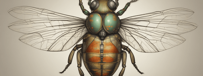 Insect Osmoregulation and Excretion