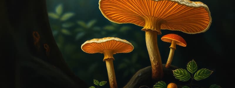 Fungi and Plant Biology