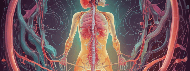 Renal Function and Fluid Balance