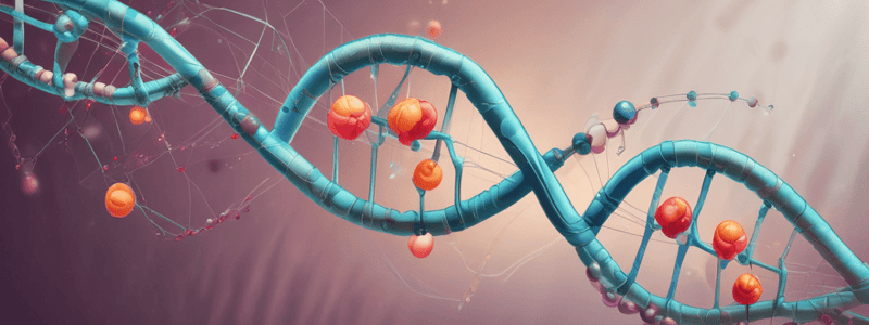 Overview of Genetic Components: DNA Molecule, Nucleotides, Chromosomes, and Cell Division