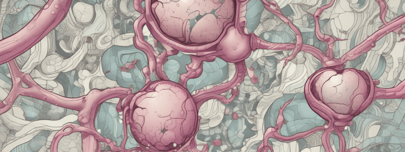 Anatomy of Alveoli Diagram Labeling