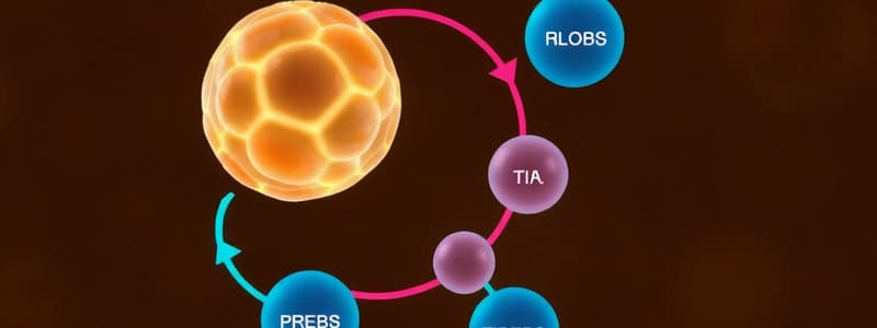 Ciclo de Krebs y Metabolismo Celular