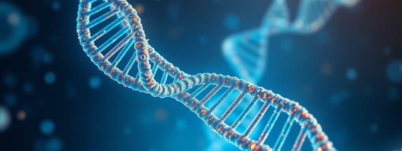 DNA and RNA Composition Quiz