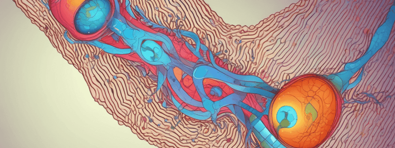 Biochemistry of Aging (Easy)