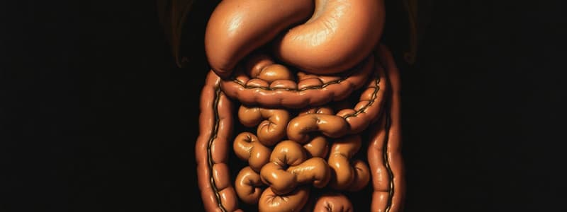 Gastrointestinal Secretion Overview