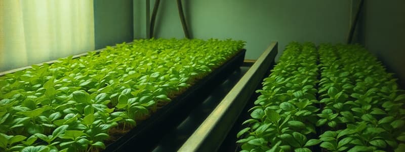 Microgreen Production Systems