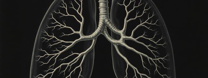 L24. Embryology - Lung Development