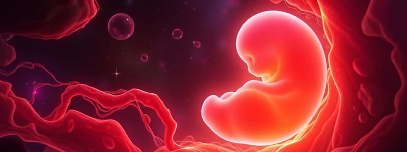 Prenatal Development Stages and Gamete Formation