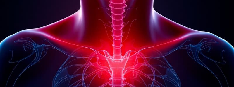 Hyperthyroidism and Hypothyroidism Overview