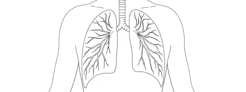 Fisiologia del Sistema Respiratorio (Fisiologia 48)